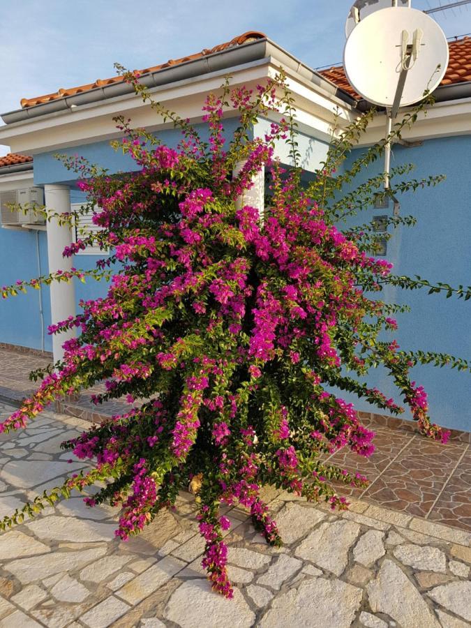Ražanac Holiday Home Ankica מראה חיצוני תמונה