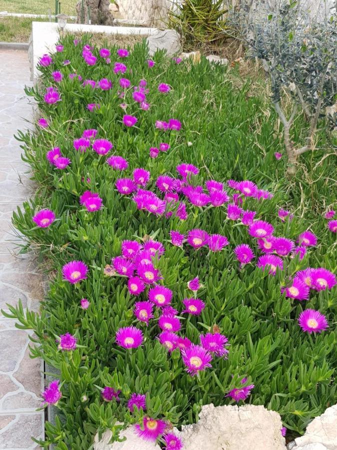 Ražanac Holiday Home Ankica מראה חיצוני תמונה